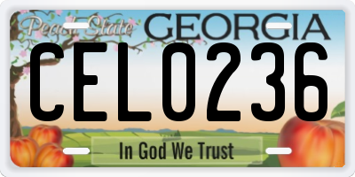 GA license plate CEL0236