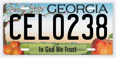 GA license plate CEL0238