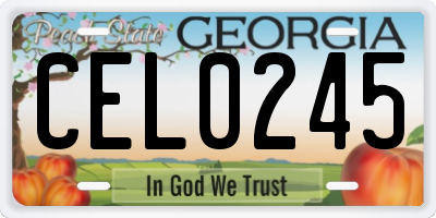 GA license plate CEL0245