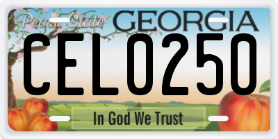 GA license plate CEL0250