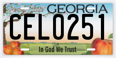 GA license plate CEL0251