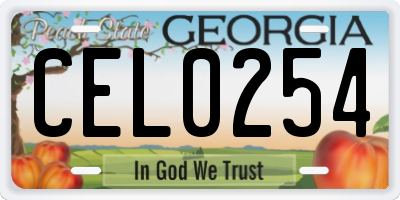 GA license plate CEL0254