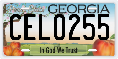GA license plate CEL0255