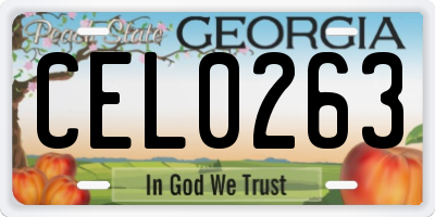 GA license plate CEL0263