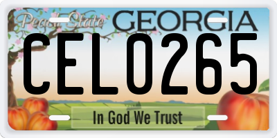 GA license plate CEL0265