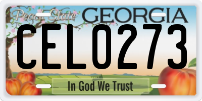 GA license plate CEL0273