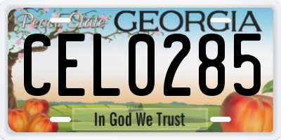 GA license plate CEL0285