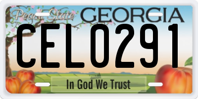 GA license plate CEL0291