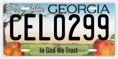 GA license plate CEL0299