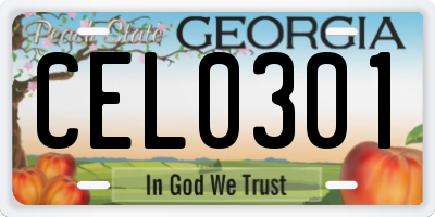 GA license plate CEL0301