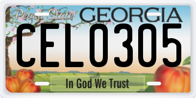 GA license plate CEL0305