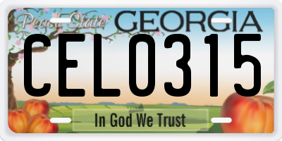 GA license plate CEL0315