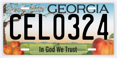 GA license plate CEL0324