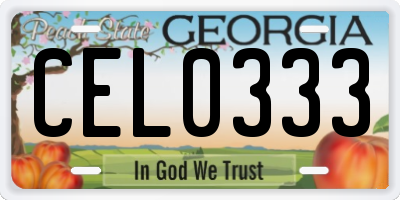GA license plate CEL0333