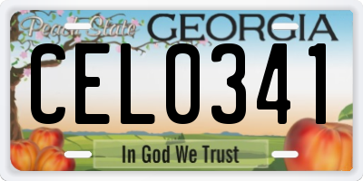 GA license plate CEL0341