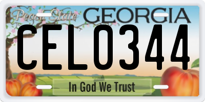 GA license plate CEL0344