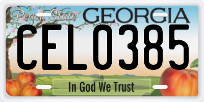 GA license plate CEL0385