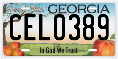 GA license plate CEL0389