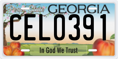 GA license plate CEL0391