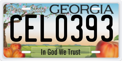 GA license plate CEL0393