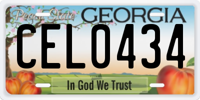 GA license plate CEL0434