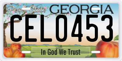 GA license plate CEL0453