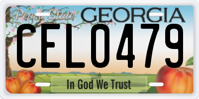 GA license plate CEL0479