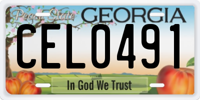 GA license plate CEL0491