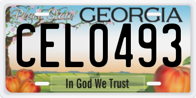 GA license plate CEL0493