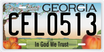 GA license plate CEL0513