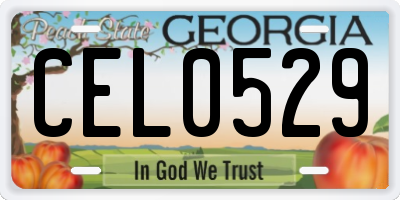 GA license plate CEL0529