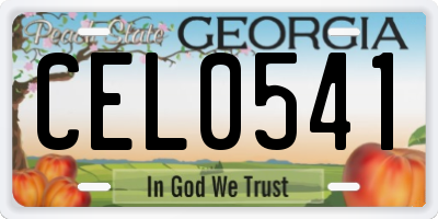 GA license plate CEL0541