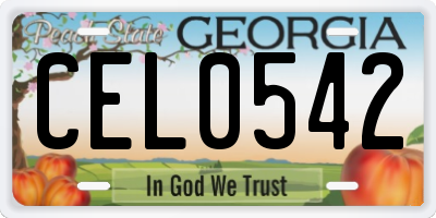 GA license plate CEL0542