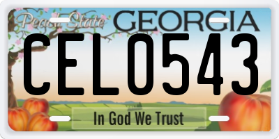 GA license plate CEL0543