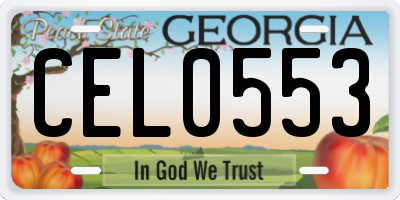 GA license plate CEL0553