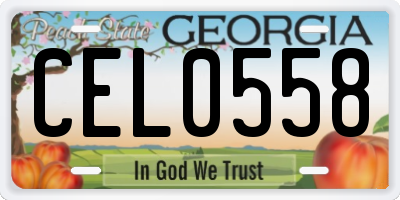 GA license plate CEL0558