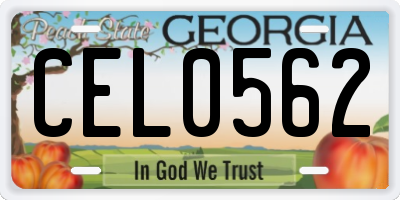 GA license plate CEL0562
