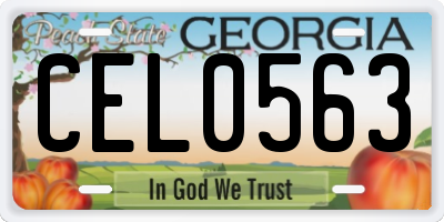 GA license plate CEL0563