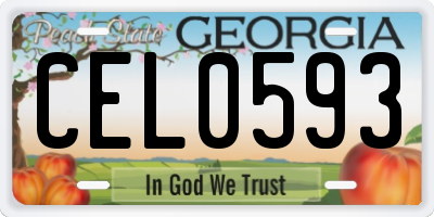 GA license plate CEL0593
