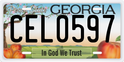 GA license plate CEL0597