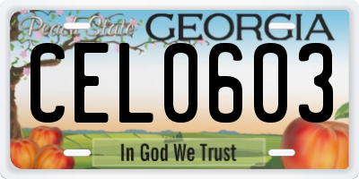 GA license plate CEL0603