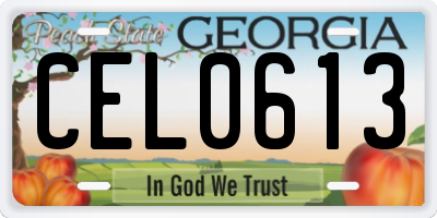 GA license plate CEL0613