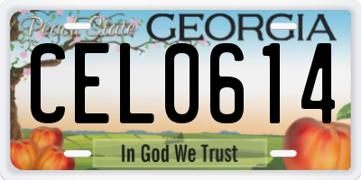 GA license plate CEL0614