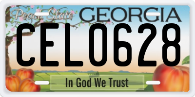 GA license plate CEL0628