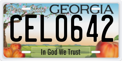 GA license plate CEL0642