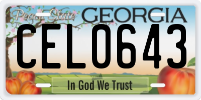 GA license plate CEL0643