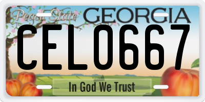 GA license plate CEL0667