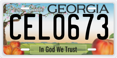GA license plate CEL0673