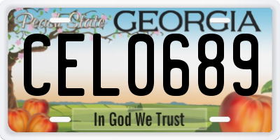 GA license plate CEL0689