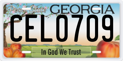 GA license plate CEL0709